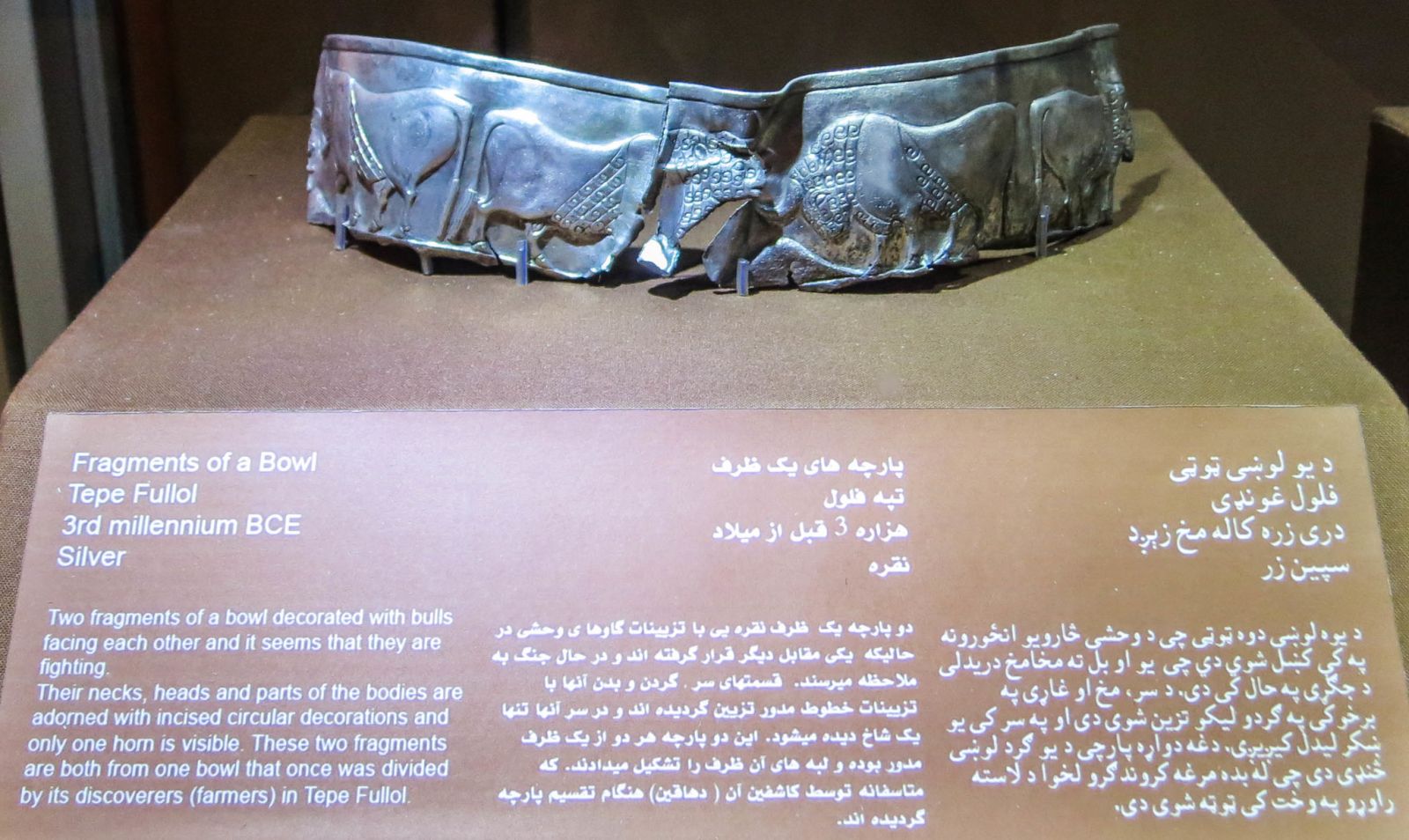 Figura 3. Kabul, Museo Archeologico, coppa d'argento sbalzata con bovini affrontati, da Tillia Pepe, terzo millennio a.C. 